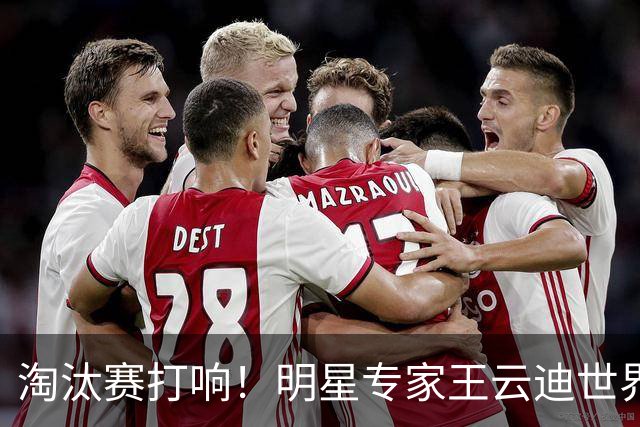 淘汰赛打响！明星专家王云迪世界杯7连红领衔红单