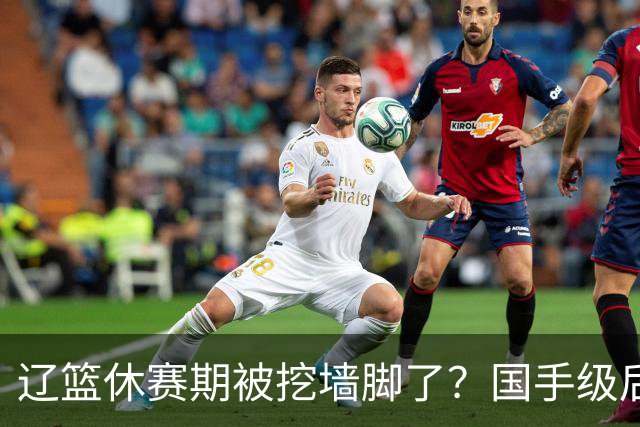 辽篮休赛期被挖墙脚了？国手级后卫恐被交易：变相逼着赵继伟走人